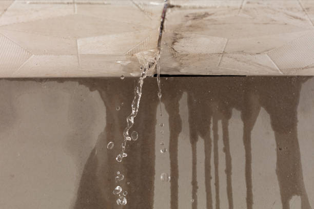 Professional Water Damage Inspection technician working in Kyles Ford, TN